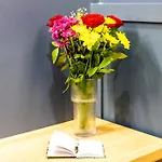 بيت ضيافة Buena Vista 4*