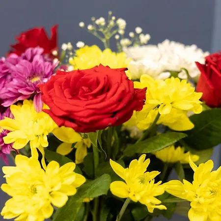 Buena Vista Casa de hóspedes Sliema