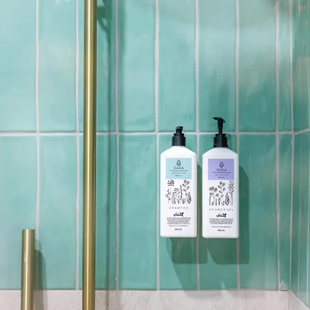 Pensiune Buena Vista 4*