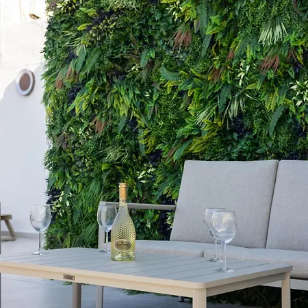 Buena Vista ゲストハウス 4*