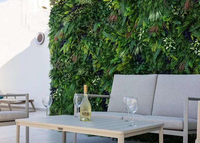 Buena Vista בית הארחה 4*