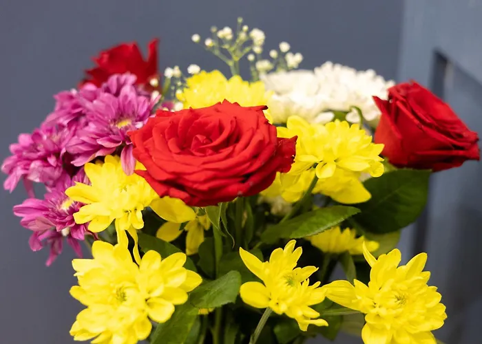 Buena Vista בית הארחה סליאמה