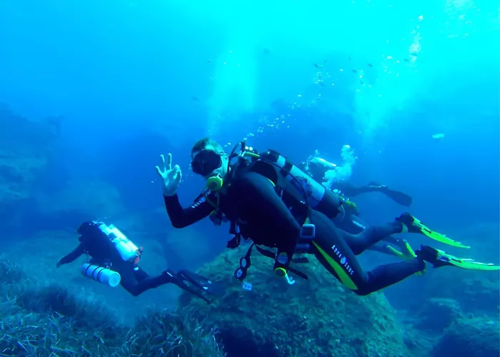 Buena Vista סליאמה