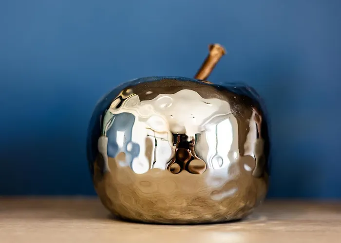 Buena Vista בית הארחה 4*